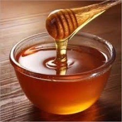 Forest Honey/KombuThen